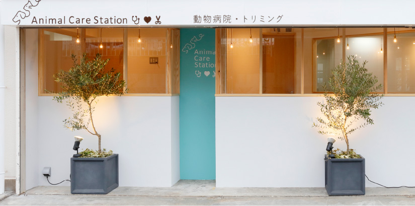 アクセス 診察 トリミング時間 神戸三宮元町の動物病院 Acs動物外科クリニック 診察 手術 入院 ホテル Animal Care Station アニマルケアステーション 予防医療 トリミング アクセス 診察 トリミング時間 神戸三宮元町の動物病院 Acs動物外科クリニック 診察 手術 入院 ホテル Animal Care Station アニマルケアステーション 予防医療 トリミング